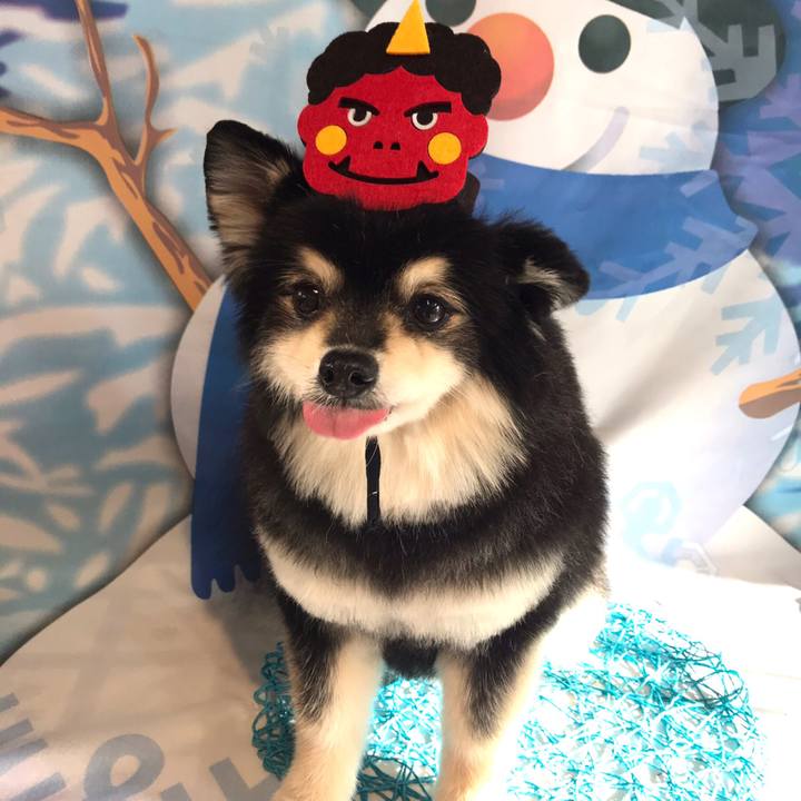 77e0a38e a5b1 41e4 9ca4 ac58224d5f77 1612798389704