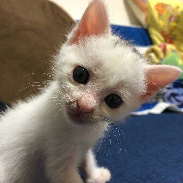 77e0a58a cbaa 4d98 a981 de9096985845 1591619778170