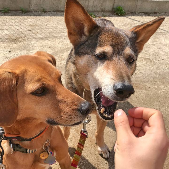 77e0f0ca d923 45e5 b5b4 7a528ea247ad 1523064164980