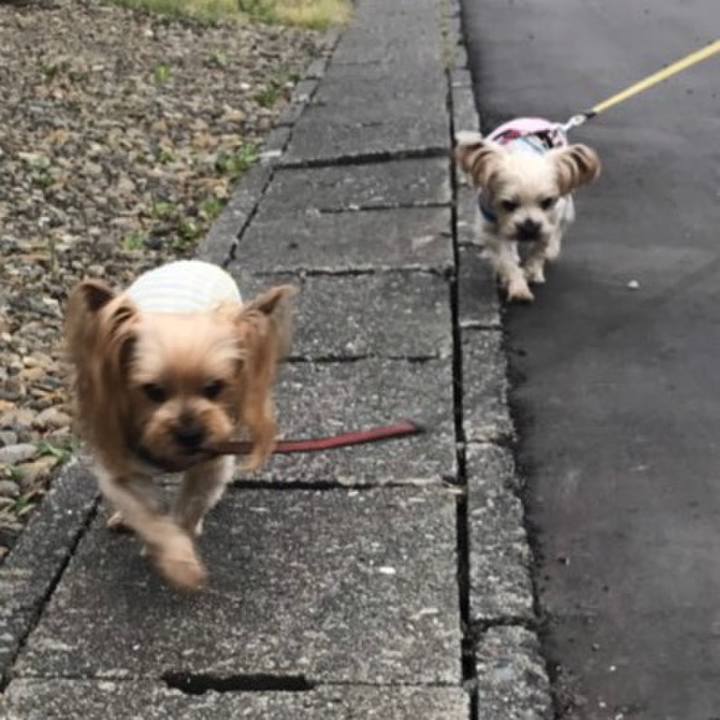 77e104e9 b395 4646 8c0a 8cc1d21d723f 1559724910833