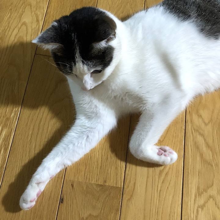 77e10de1 2be5 4763 8d39 8880be8d457f 1663240663466