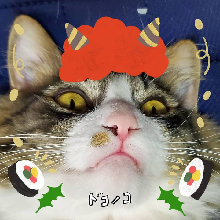 77e13cb2 63ab 48db 8a78 7fa1fe81b7cd 1706929170711