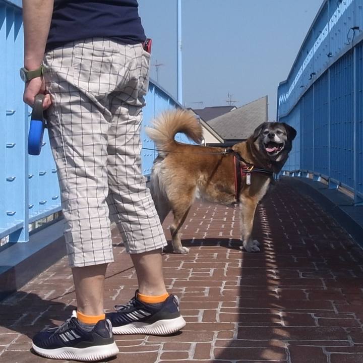 77e167e9 ea83 4f23 a952 91634222a563 1605486284337