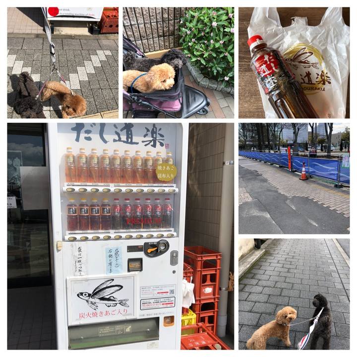 77e16a66 fab8 450a ac26 0fd103ae0bdb 1583906602181