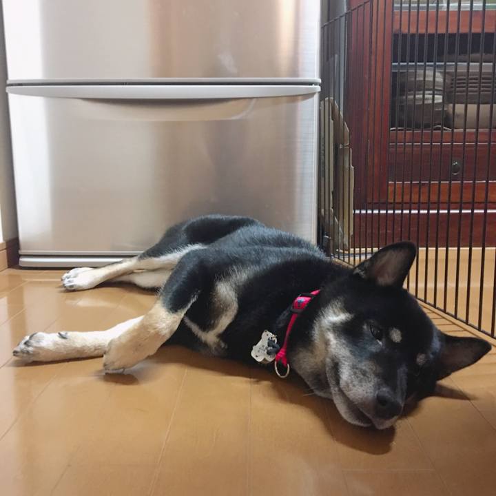 77e19d6b 98e3 4cc6 ba59 48553aa3f49a 1531825114622