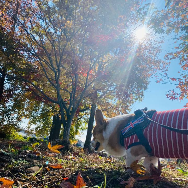 77e1ae18 6394 4078 bb86 7344a8520a49 1668739292216