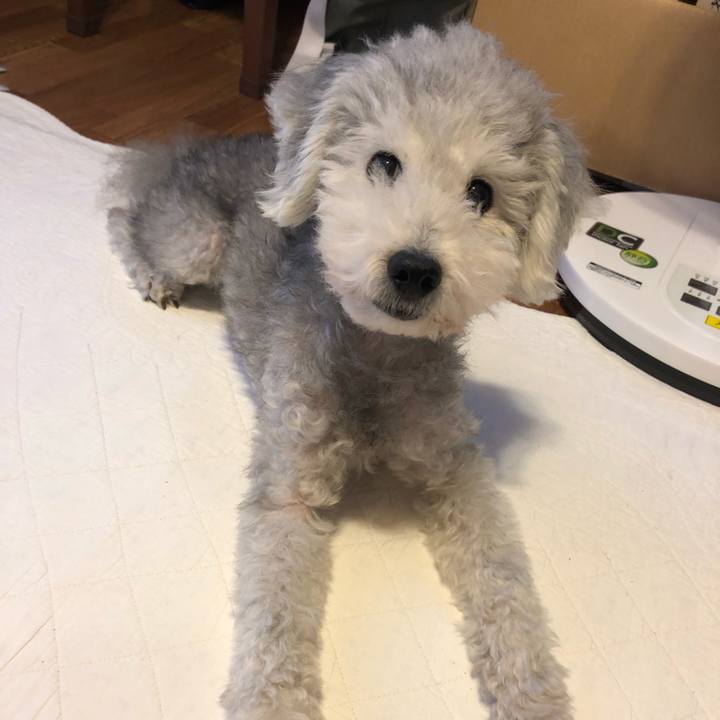 77e1afaf de51 499c bd0a 81bd35a78024 1568943370599