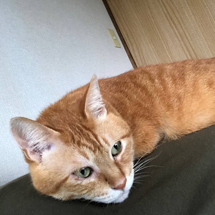 77e1b67e bfcd 46b6 b064 e88061aae543 1690409350061