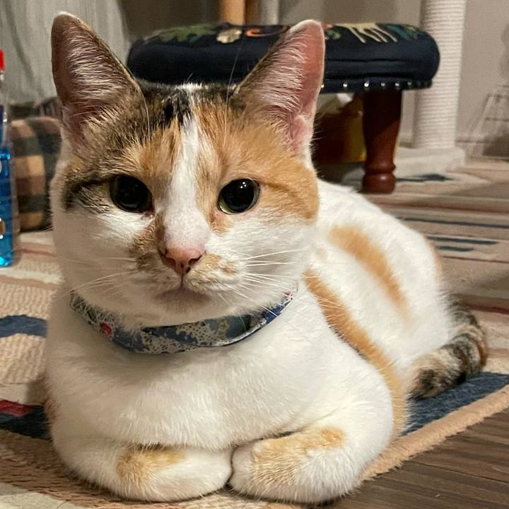 77e1d815 a9d6 4e5c bfe0 c34a0174091e 1696338376708