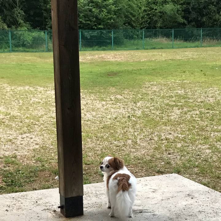 77e1e7d0 3996 4726 b59f 70760156fbc0 1565512821435