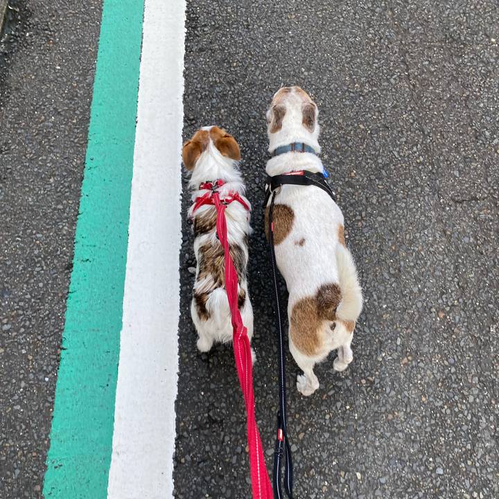 77e1ed65 35f4 4fbd a988 927382ef1336 1630797562348