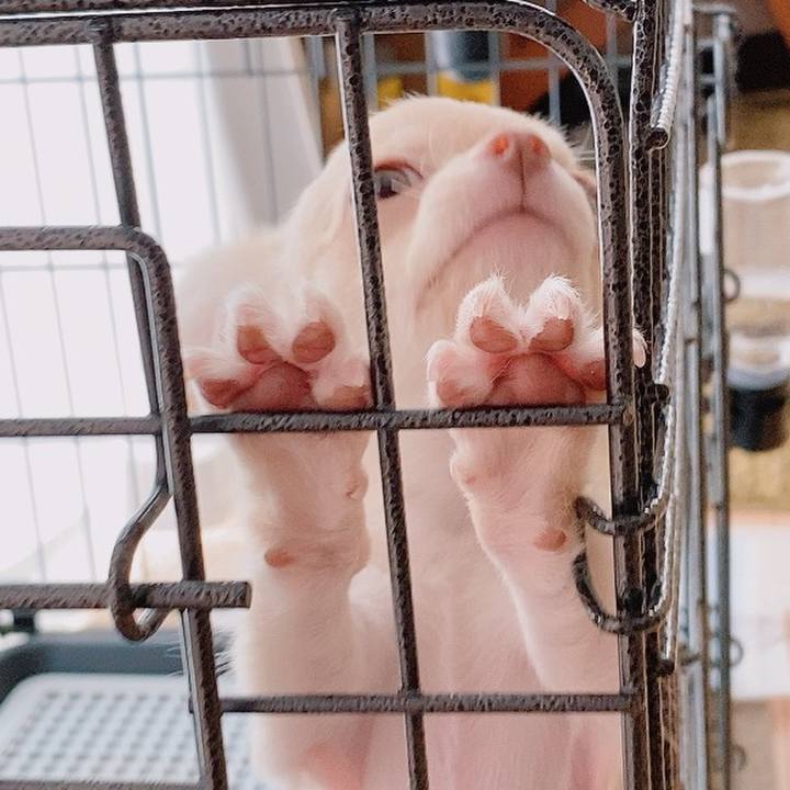 77e1f60f 91ed 4be3 9f50 e794c9b86cac 1592979933633