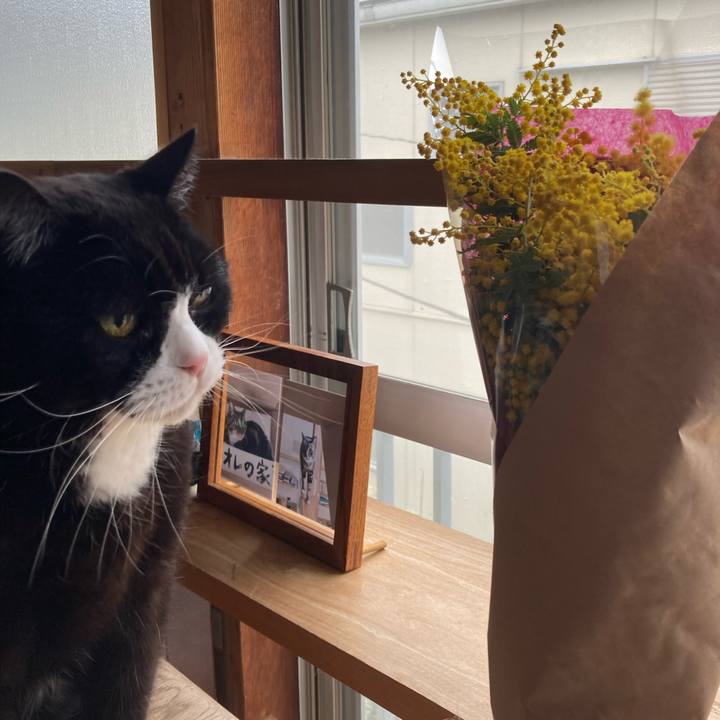 77e21b9b 7cc3 4271 be23 446f6e4b5f5f 1615204280222