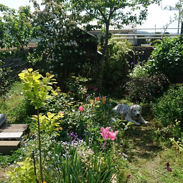 77e2566a e2e8 4c12 9db0 7ec24a300b37 1524364871293