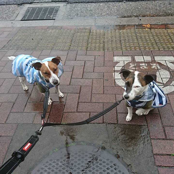 77e26826 9b7f 4aeb b5c2 ebec0b95402e 1556699372049