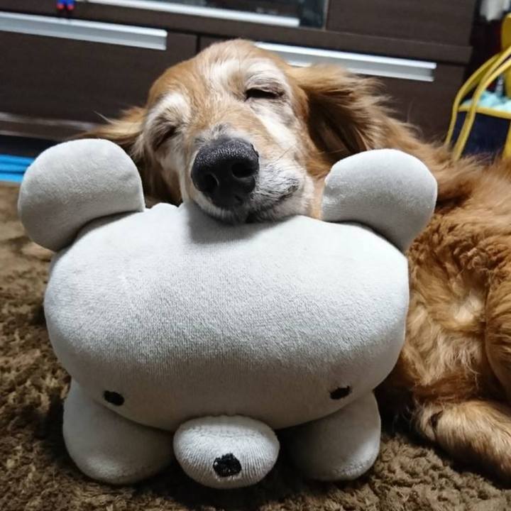 77e27bd3 9b44 4d5f a989 2f76566fed64 1776180157038