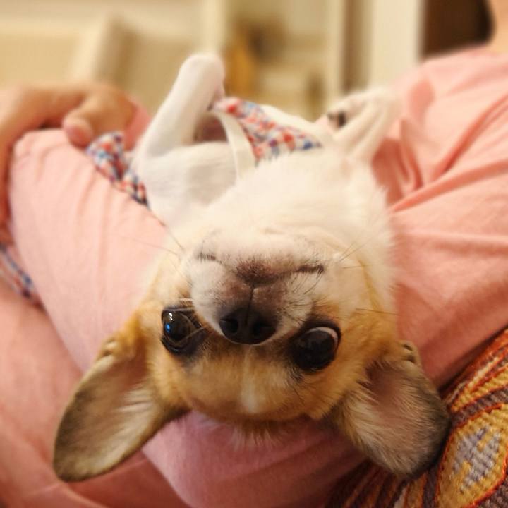 77e2acc9 7313 479d ac9f d69a5c0aa6eb 1631879901748