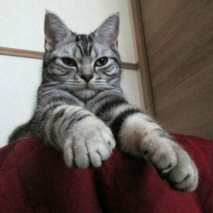 77e2c40f ce8a 4b5c b8bb 25c12e9f0b02 1549849542668