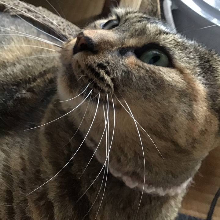 77e2e03d 224b 496a 8386 55540c63cda0 1693480609421