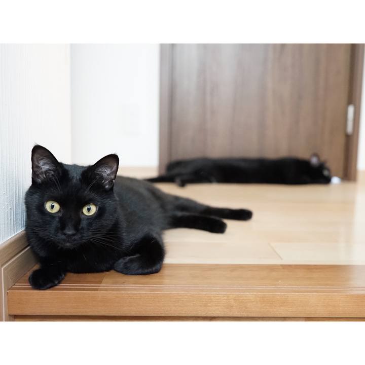 77e36934 718b 40ac a359 edd8c026ee13 1558915205698