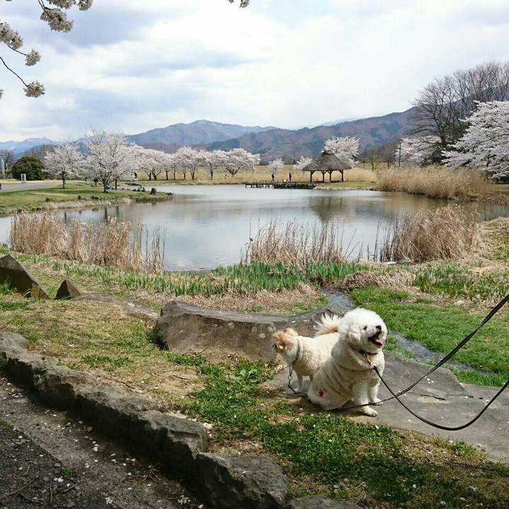 77e370ab 5dae 4fbc 9ccf 4209cd9b9c86 1523406141603