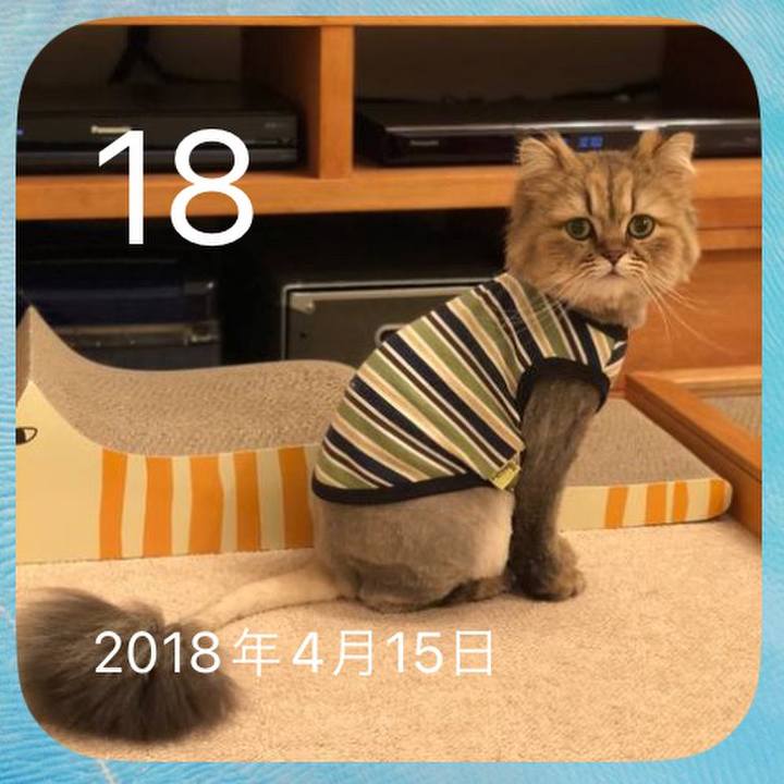 77e38c8c b234 44fc ad9b 8956f7daf35f 1713440541338