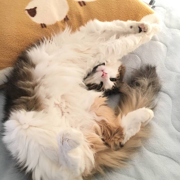 77e3c5ef 31a1 4d8d 9173 16afb57d4188 1514262381319