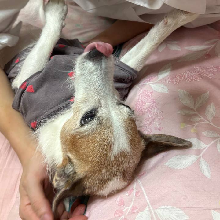 77e3dc5b 95f3 42c2 a579 e426857c19ab 1760835629829