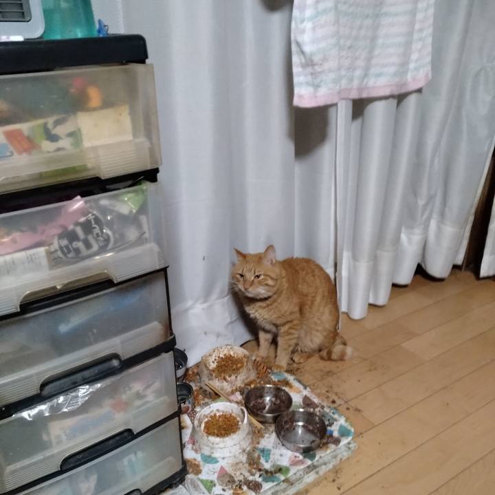 77e42489 31b2 495e 81d7 728bd4a55857 1704576960455