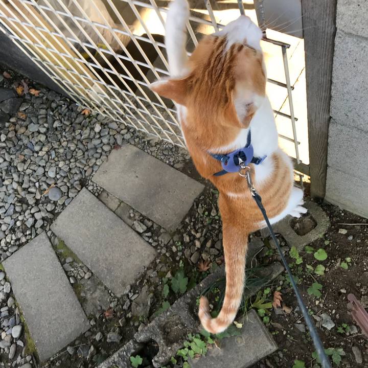 77e43cce 3ba6 4c84 a75f 03151ae4b620 1510022106990