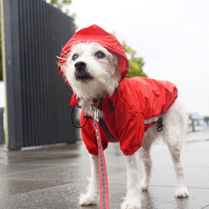 77e44e35 6e75 4b43 9bb9 68af8b133df0 1508151978140