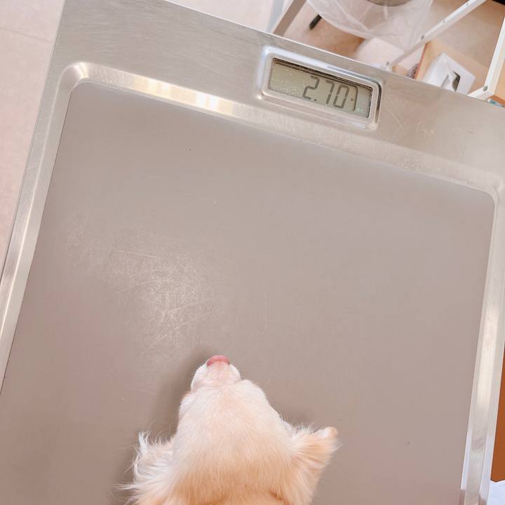 77e47dac ccaf 4836 a0f7 013afb5c88b5 1654572305769