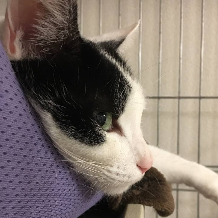 77e497ee 1342 4c7f 8ee2 590a18eb5f85 1579057842004