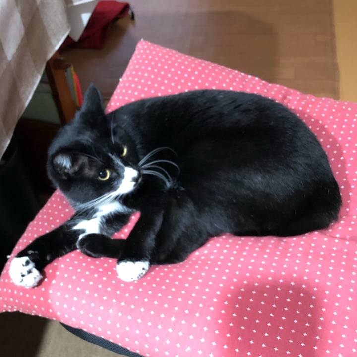 77e4ac66 c1a5 45ff 989f ad6886d17f0c 1580960612328