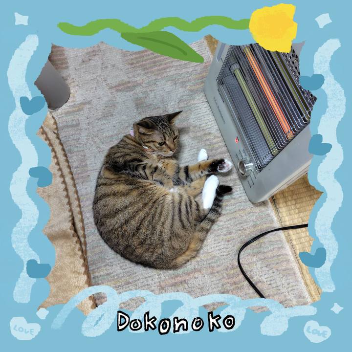 77e4b2b6 0d3e 4cbc aa83 427275c96e0d 1772068367533