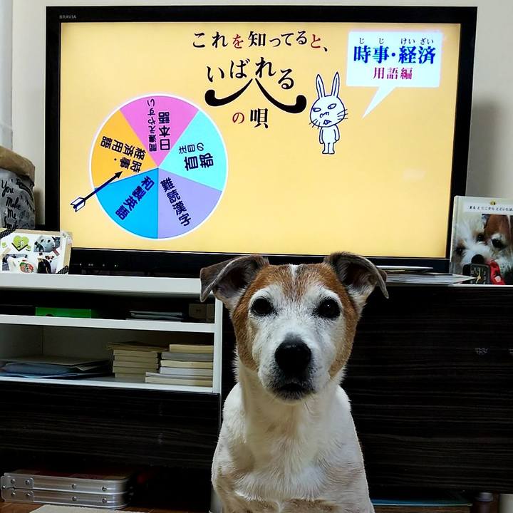 77e4e992 30d4 4fce 9470 038828a0c51c 1551824492481