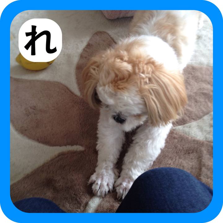 77e4f583 3fae 4c55 ad8a 73c94ad9b362 1515048867321