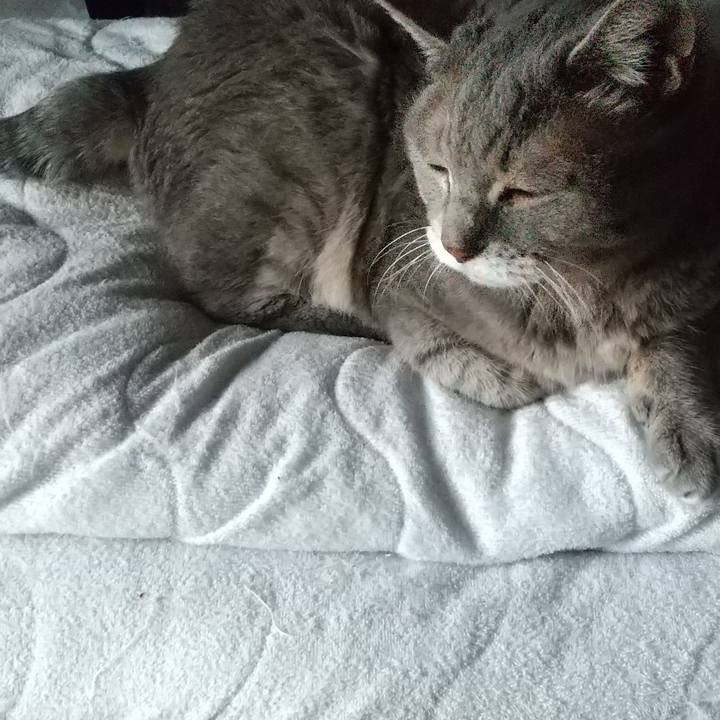 77e4fd5d b6cd 4893 aa85 ff406adfb3df 1664400623232