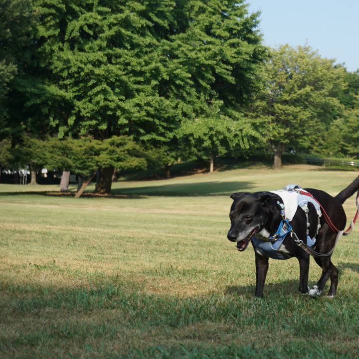 77e54b96 fba0 4f2d a402 f8086050688e 1755995465759