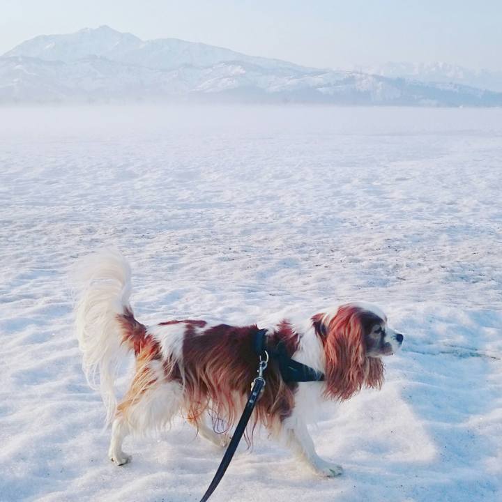 77e5678a ea88 4745 bb70 c5eecb9bfe84 1522451244626