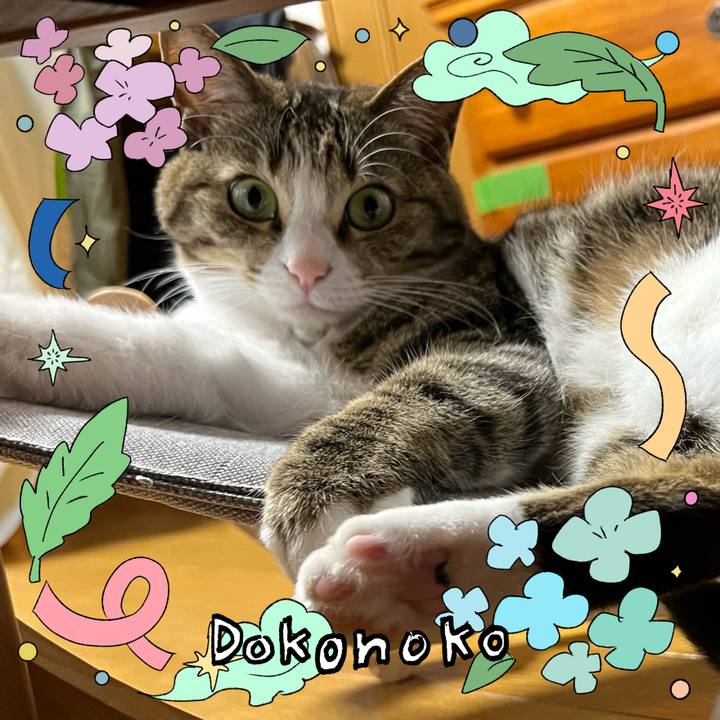 77e5f194 6a4d 4b5f ac24 79b11a994054 1718448525634