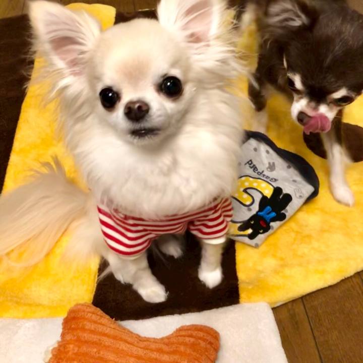 77e61ef3 d052 41e7 b09c 97ecf19b19c2 1548505592093