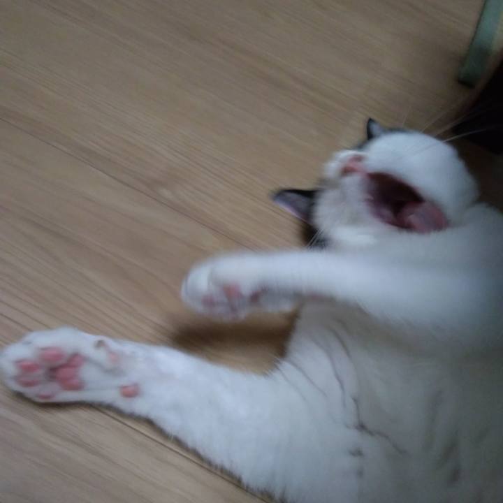 77e62416 8b2a 437d 8f19 55cbc586e198 1532517627047