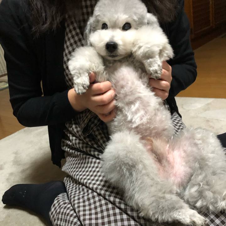 77e6271f f4f4 4e7a 9e58 0db00f5423ae 1553877036571