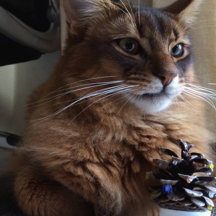 77e6483d 8038 4548 be5b 97e4739c4add 1608771812141