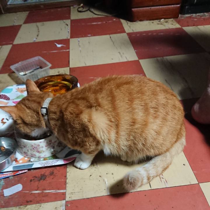 77e65280 0a1a 4042 bbf0 6b86d1ce40c9 1595273846514