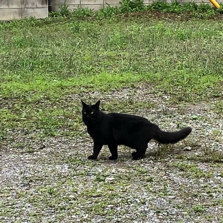 77e65330 ccf8 4899 bce4 b583061398e6 1529584234379