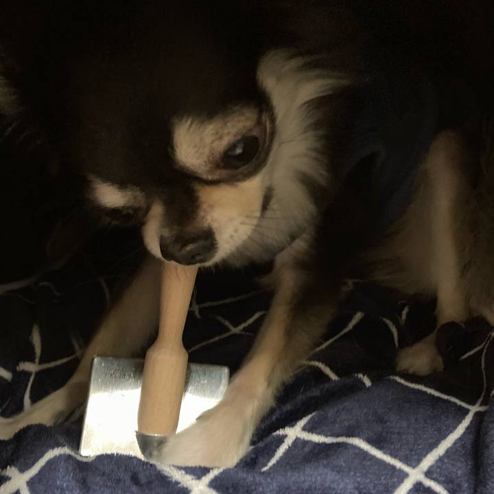 77e65bed f118 46c2 b293 dc0476f7a61f 1650121130124