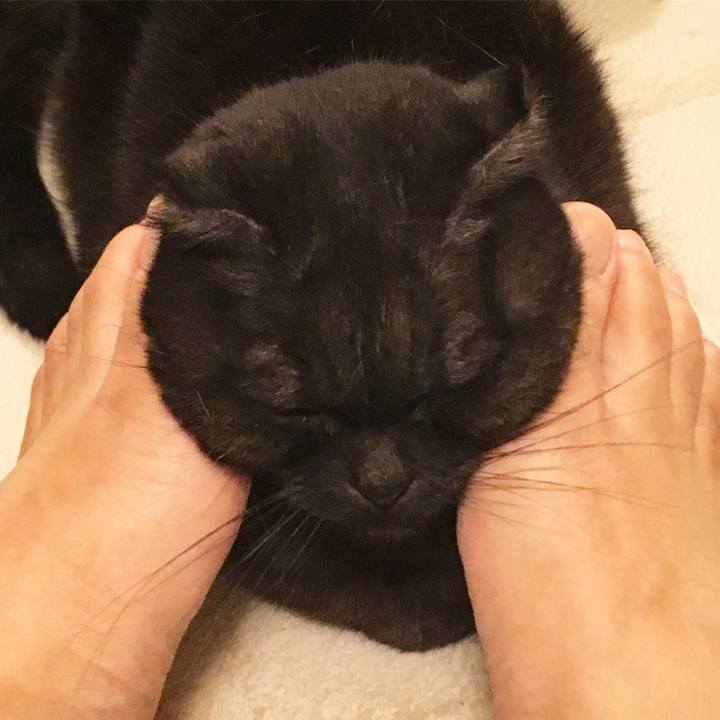 77e65e13 4284 49f9 ba33 57e56f977636 1519147454536