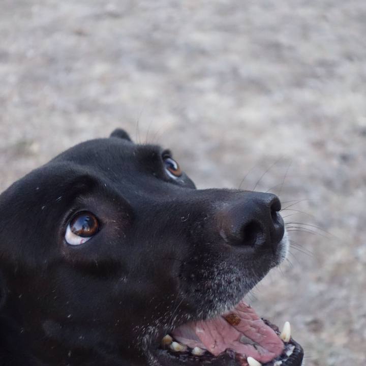 77e65fb8 19e2 451c 82f3 d8d2c14fd8ea 1611967394944